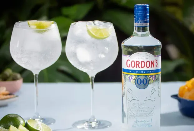 GORDONS DUBLE 10 CL